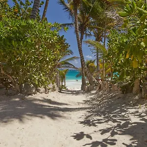 Hotel Dos Ceibas - Massage & Yoga Inclusive ****